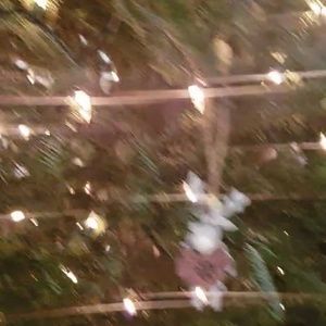 Meet your Posher, Lila